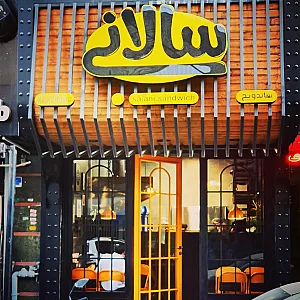 سالانی میرداماد