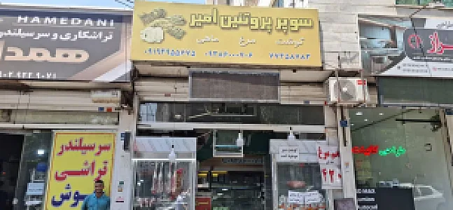 پروتئین امیر