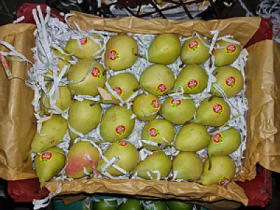 اتحادیه میدان میوه و تره بار مرکزی الغدیر(اهواز)
