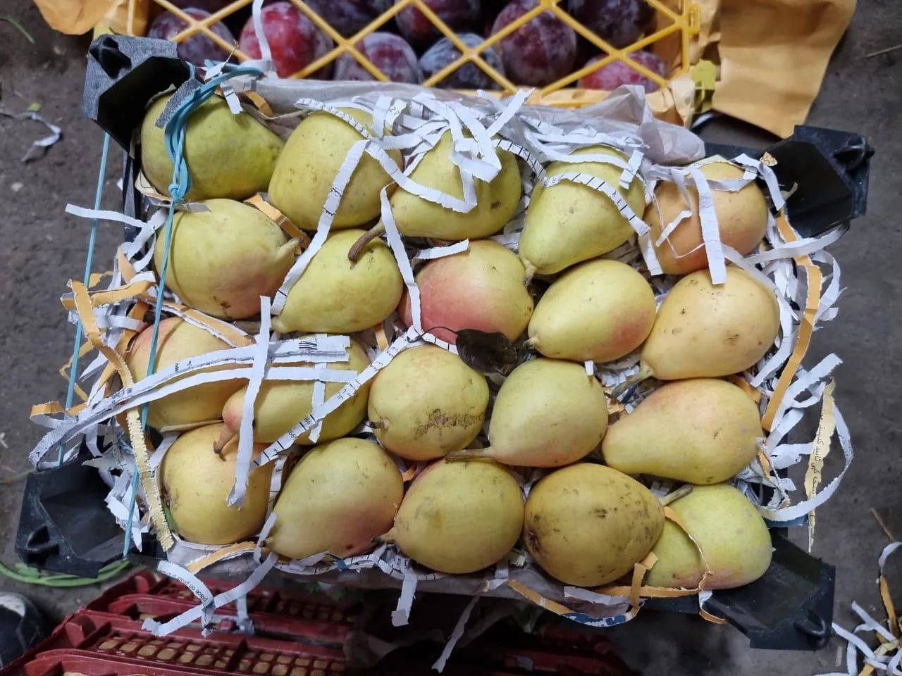 اتحادیه میدان میوه و تره بار مرکزی الغدیر(اهواز) - تصویر 2