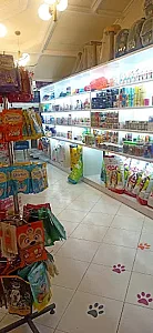 بیمارستان تخصصی حیوانات خانگی گلدن