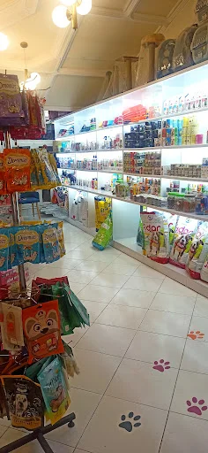 بیمارستان تخصصی حیوانات خانگی گلدن