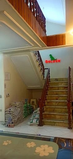 بیمارستان تخصصی حیوانات خانگی گلدن