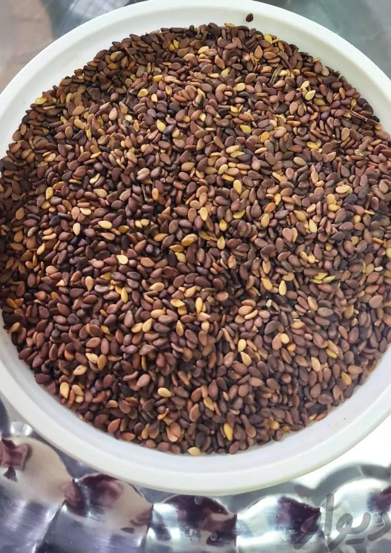 مواد غذایی بادومک و ارده و روغن گیری - تصویر 6