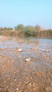 دکتر عبدالرضا خورشیدی فر