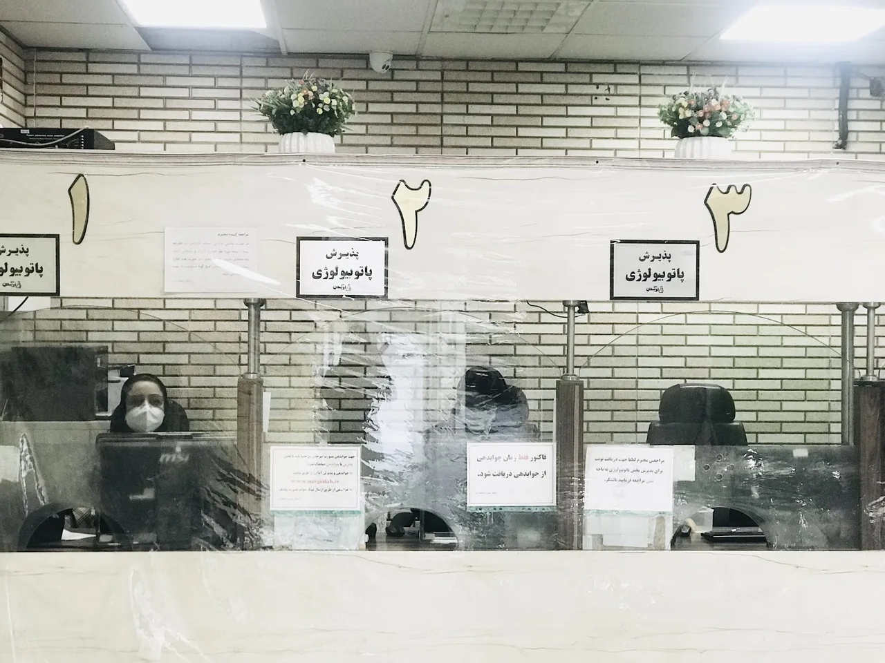آزمایشگاه نرگس . - تصویر 3
