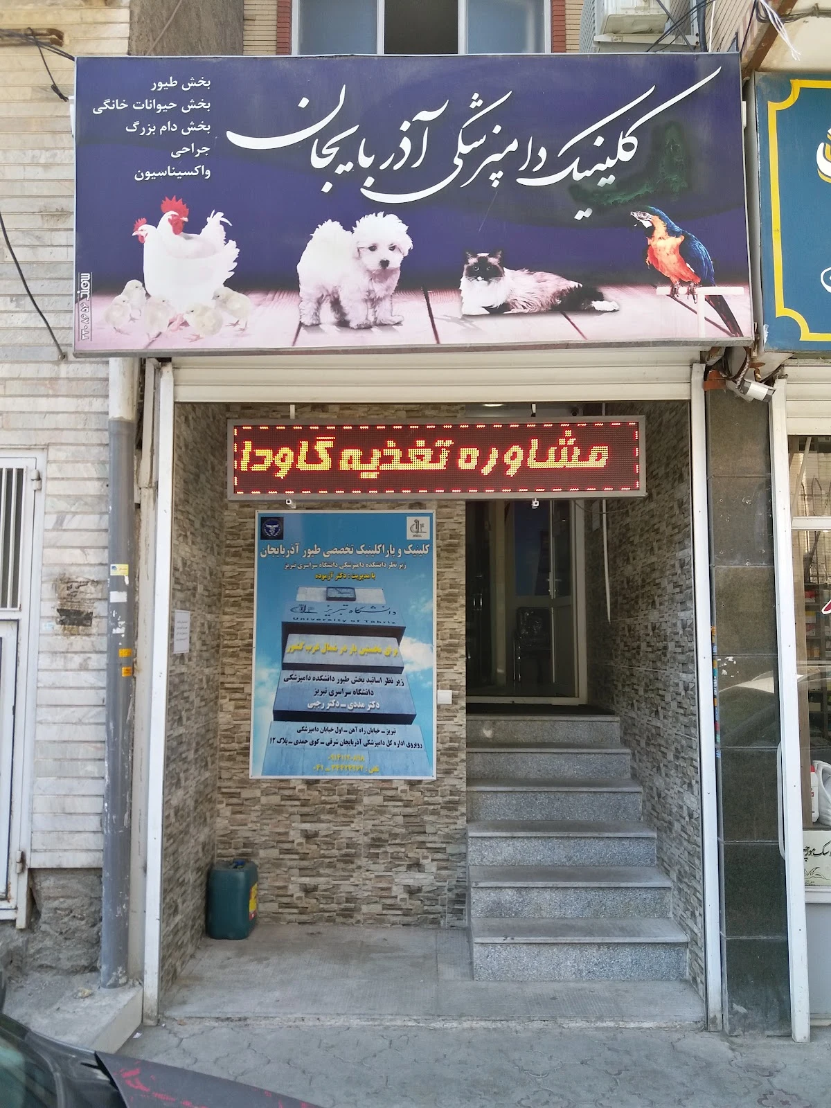 کلینیک دامپزشکی آذربایجان