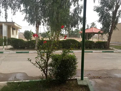 بیمارستان دولتی سلامت