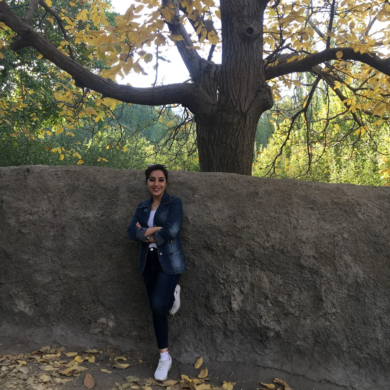 درمانگاه دندانپزشکی ایران پارس - تصویر 4