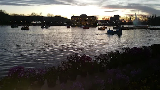 کلینیک حیوانات خانگی دکتر معین