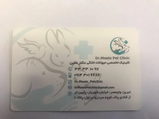 کلینیک حیوانات خانگی دکتر معین