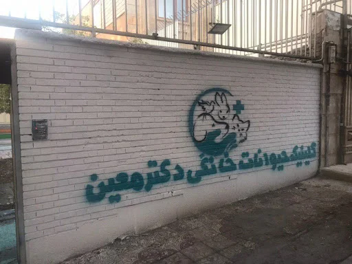 کلینیک حیوانات خانگی دکتر معین