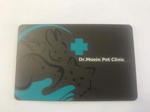 کلینیک حیوانات خانگی دکتر معین