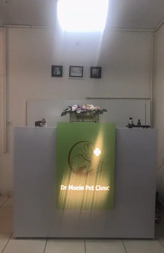 کلینیک حیوانات خانگی دکتر معین