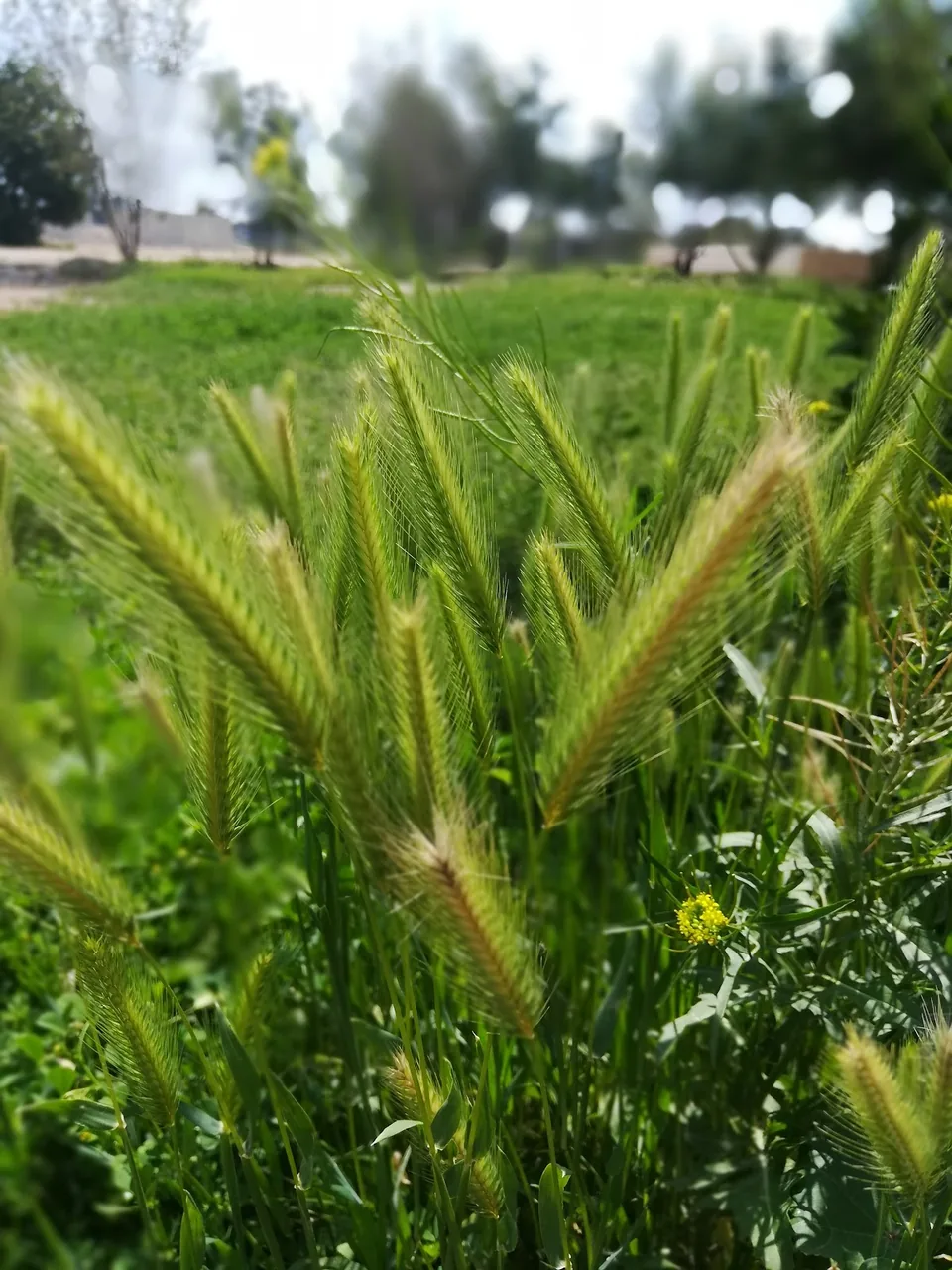 پارکینگ پارک دولت - تصویر 2