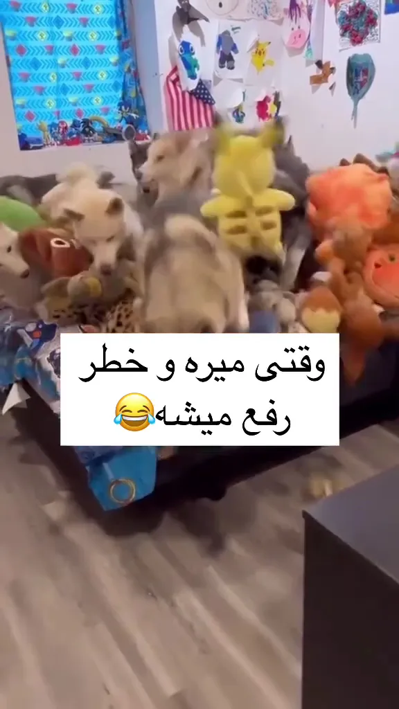 کلینیک دامپزشکی ایرانیان - تصویر 3