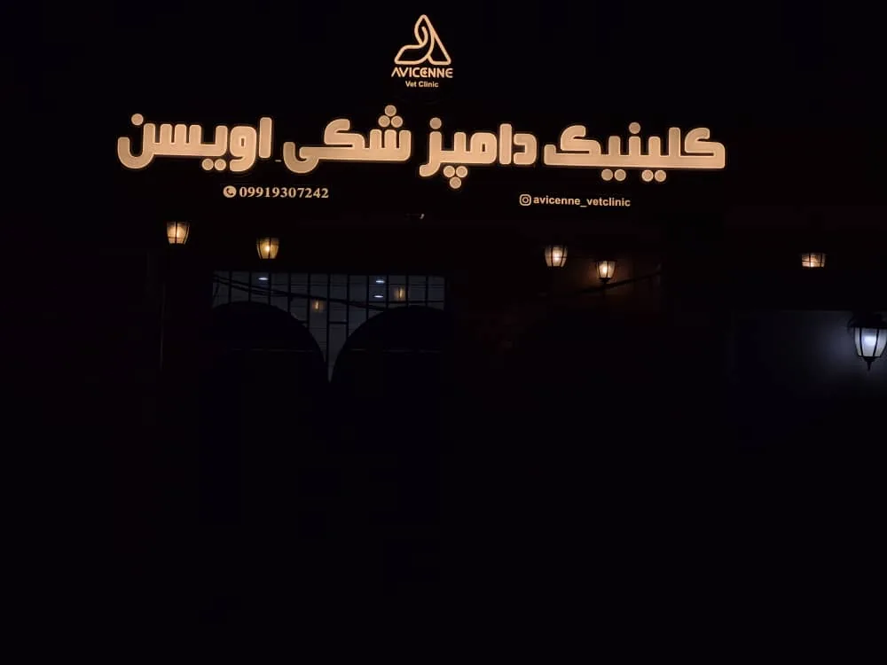کلینیک دامپزشکی اویسن