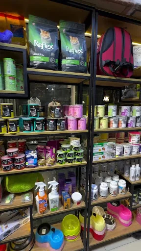 پت شاپ اسکان