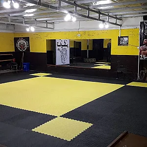 باشگاه تایگر