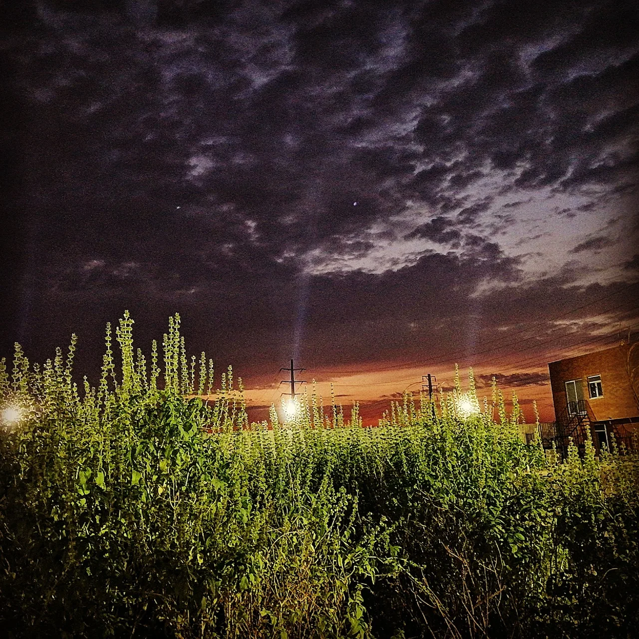 شرکت حمل و نقل احرار پیروز - تصویر 4