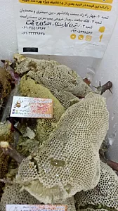 کلبه عسل زند