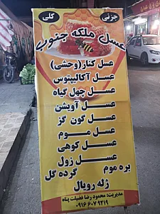 عسل پادنا شعبه مرکزی