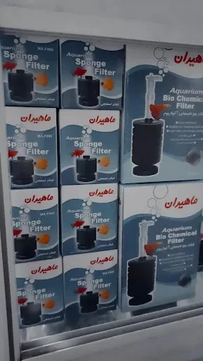 پت شاپ صدف - تصویر 2