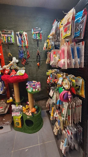 پت شاپ سالیوان