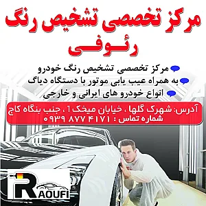 تشخیص رنگ رئوفی