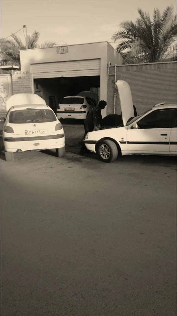 مکانیکی شلیلیان - تصویر 2