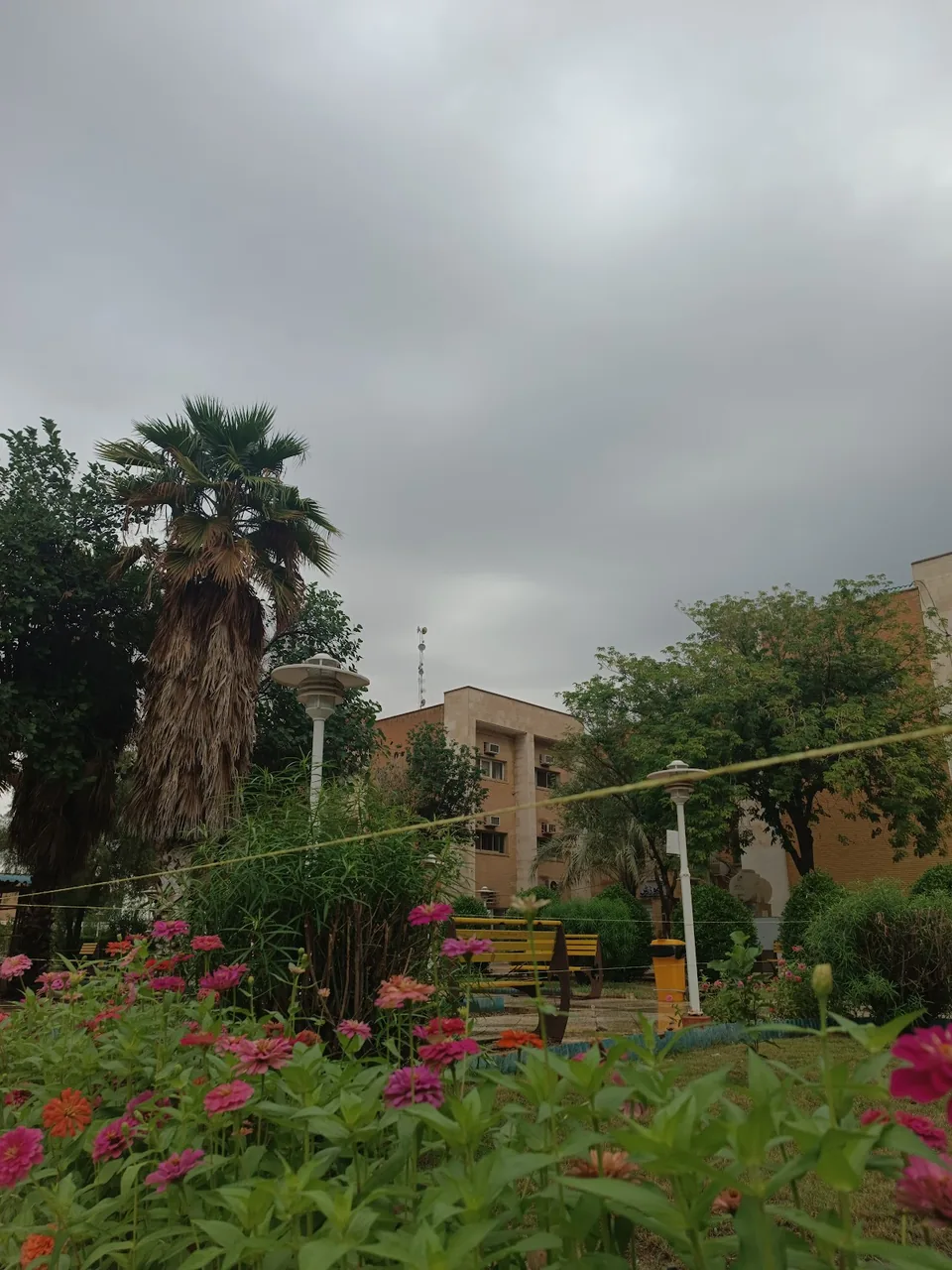 مرکز اموزش علمی کاربردی جهاد دانشگاهی
