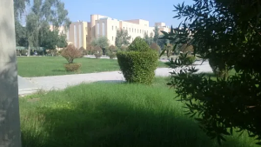 دانشکده بهداشت جندی شاپور