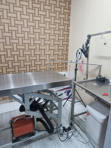 پت کلینیک کوآلا