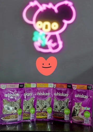 پت کلینیک کوآلا