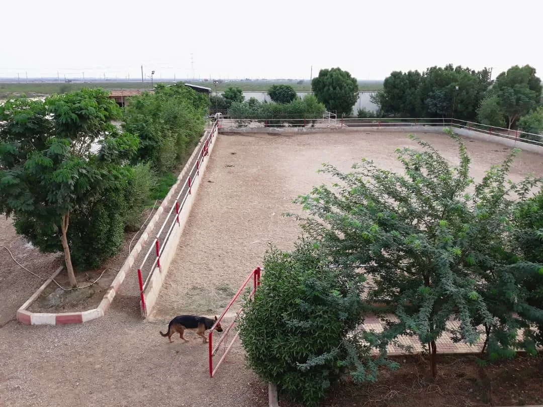باشگاه سوارکاری موگهی