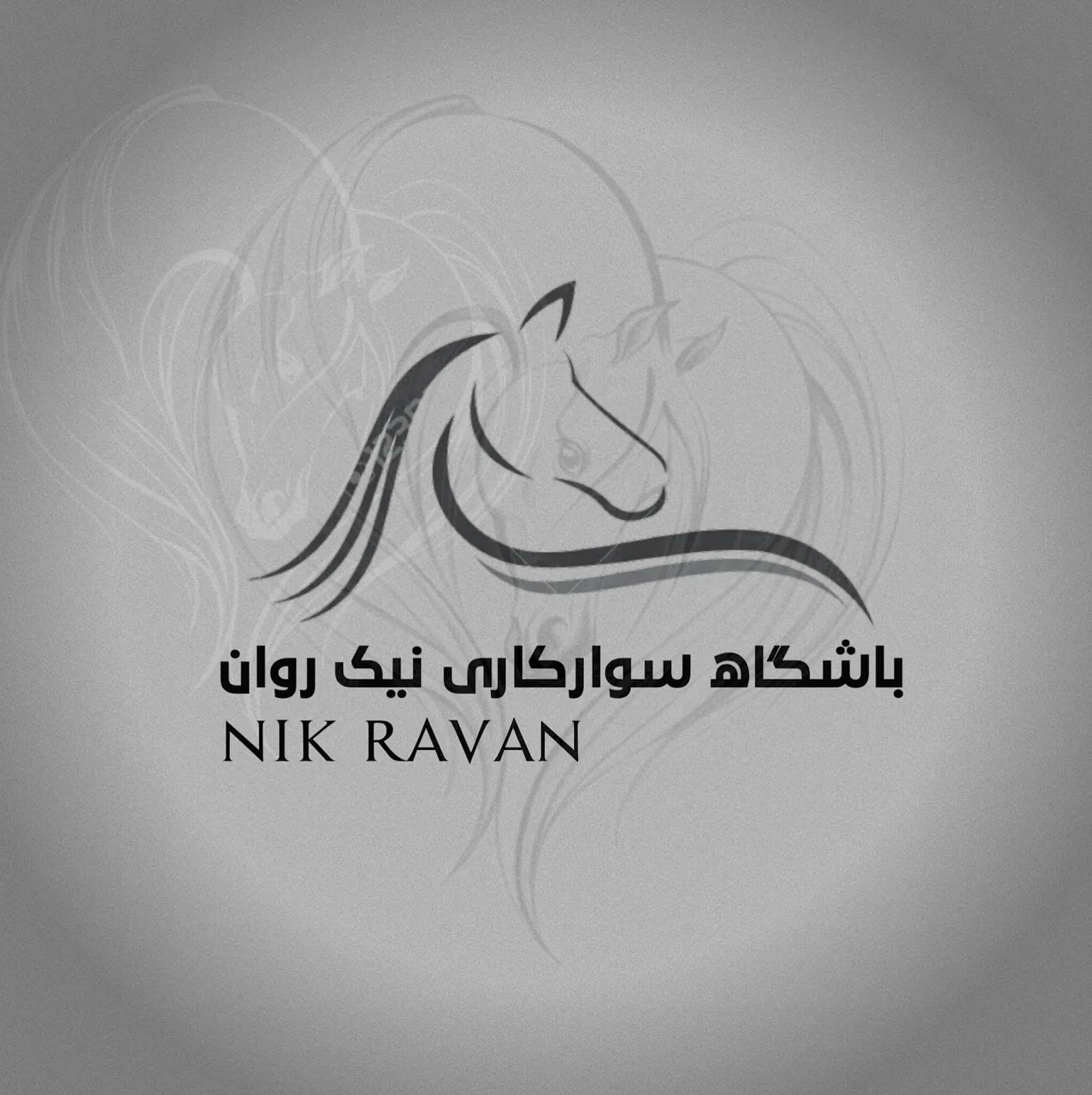 باشگاه اسب سواری نیک روان - تصویر 2