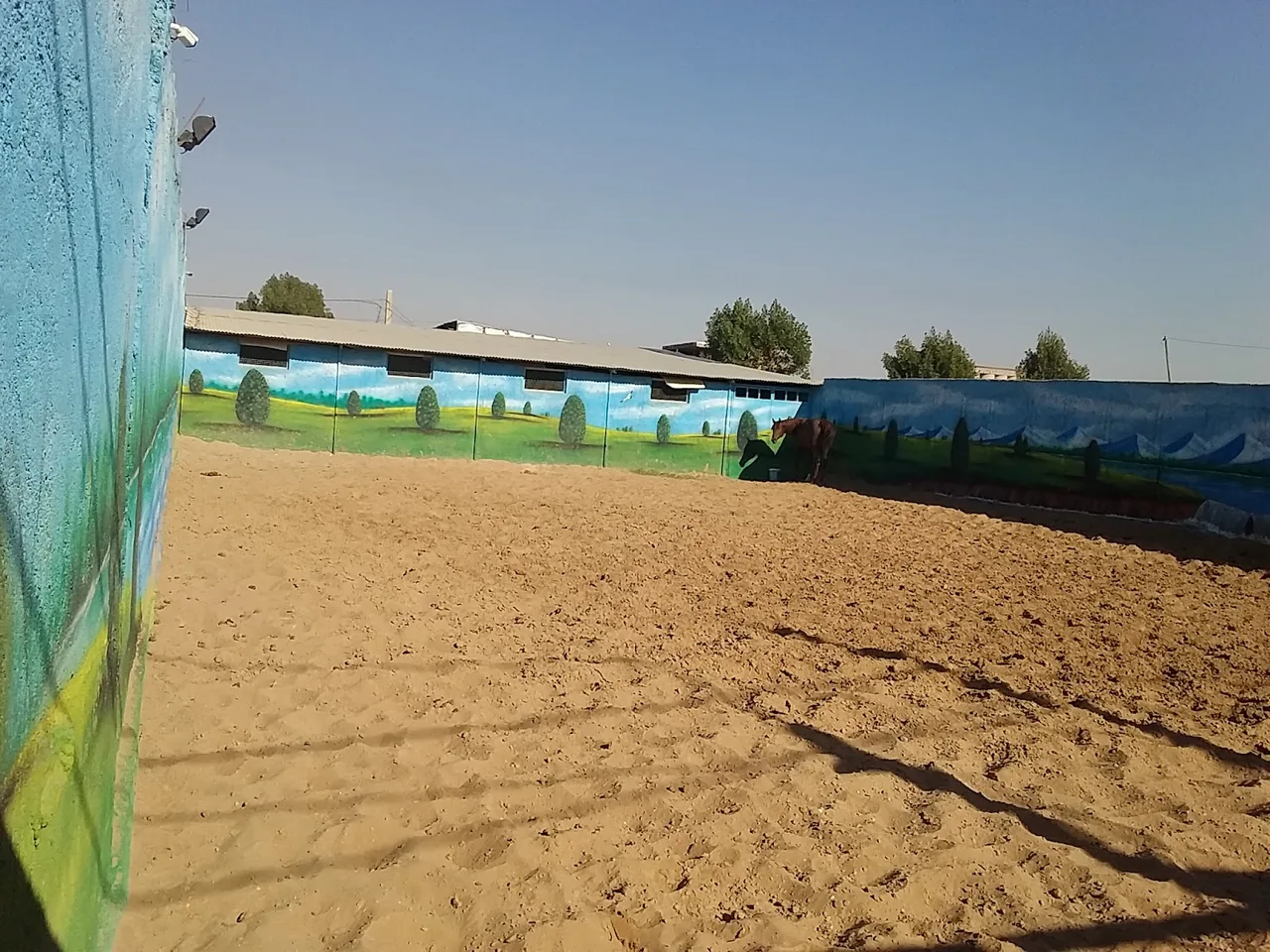 باشگاه سوار کاری گلجویی