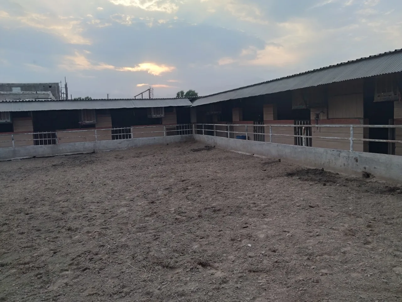 باشگاه سوارکاری بهزادی