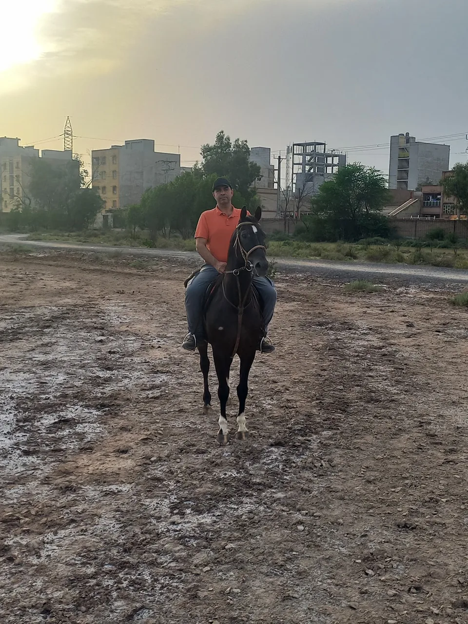 باشگاه سوارکاری دماوند