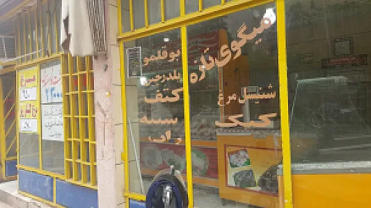 پروتئینی انقلاب-حمیدی