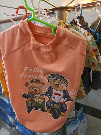 کلینیک تخصصی حیوانات خانگی و پرندگان نجات - کلینیک دامپزشکی در تبریز