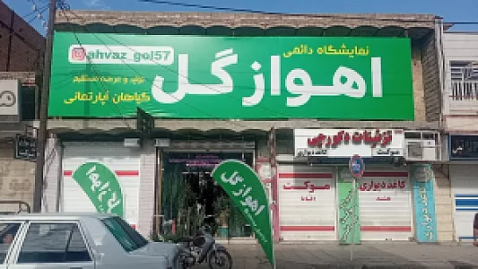 نمایشگاه دائمی گل و گیاه اهواز گل