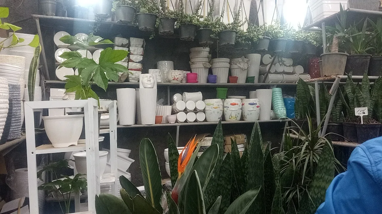 نمایشگاه دائمی گل و گیاه اهواز گل - تصویر 2