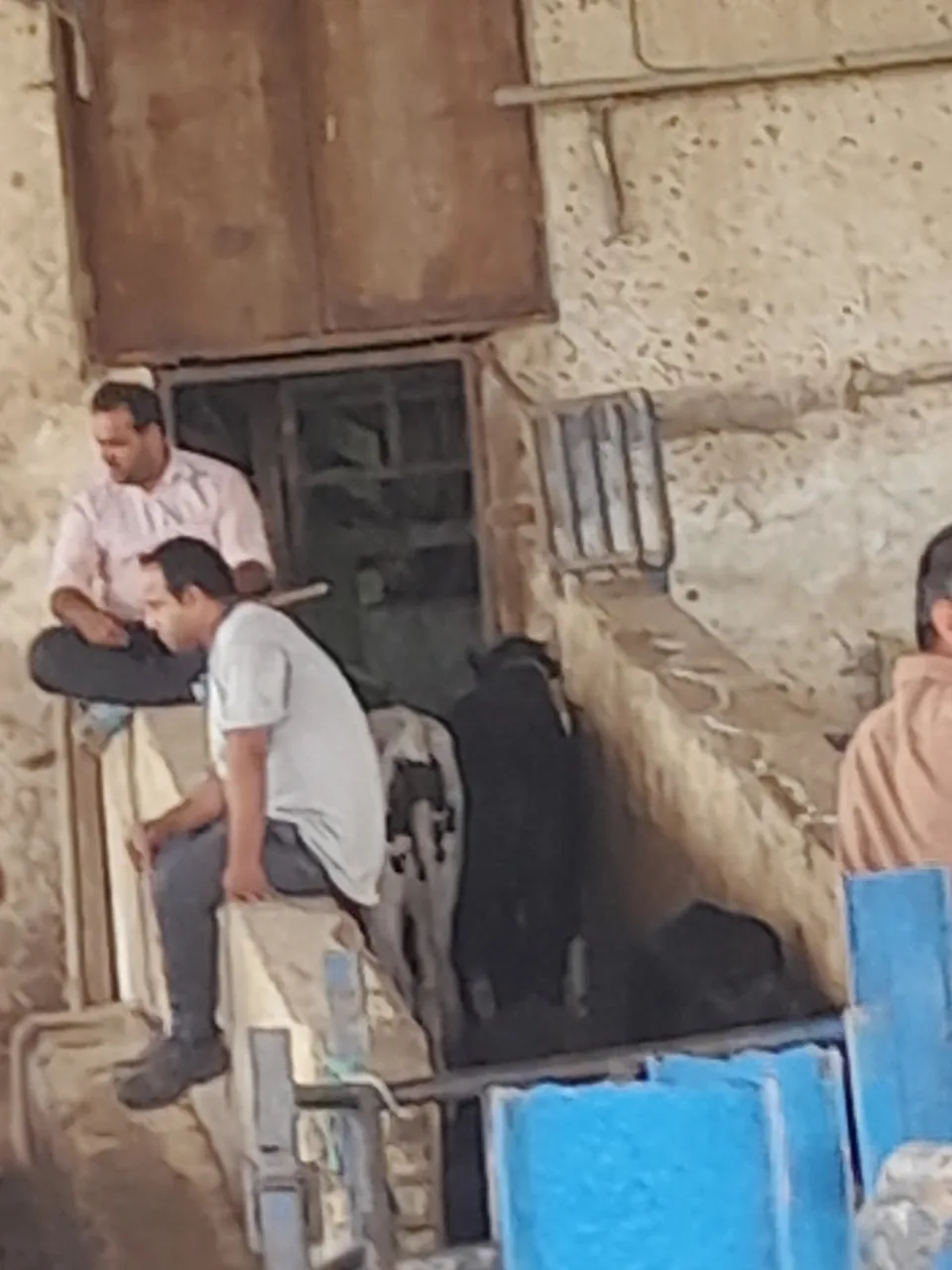 کشتارگاه صنعتی دام اهواز - تصویر 6