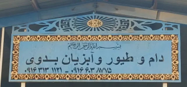 دام طیور و آبزیان بدوی