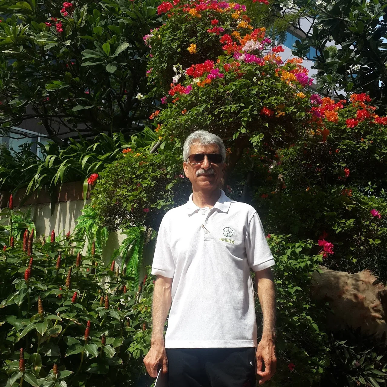 فروشگاه کشت و دام اهواز - تصویر 3