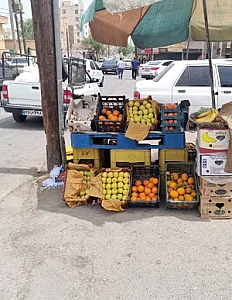 میوه و سبزیجات