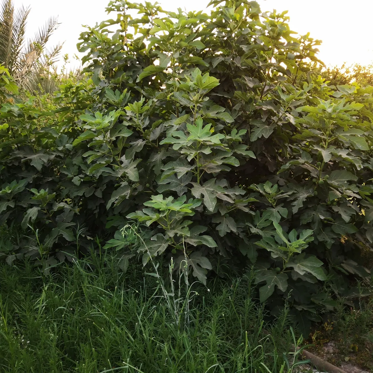نمایندگی مرکزی سونی - تصویر 3