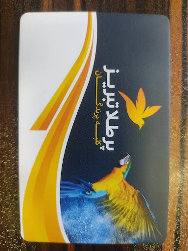 پت شاپ کلبه پرندگان پرطلا