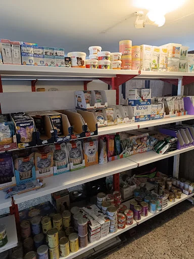 پت شاپ پتیم